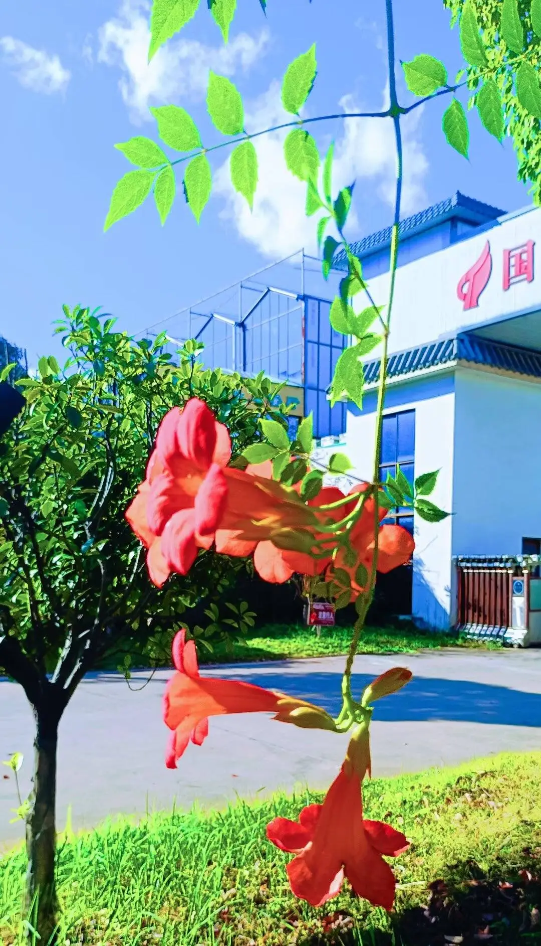 圖片
