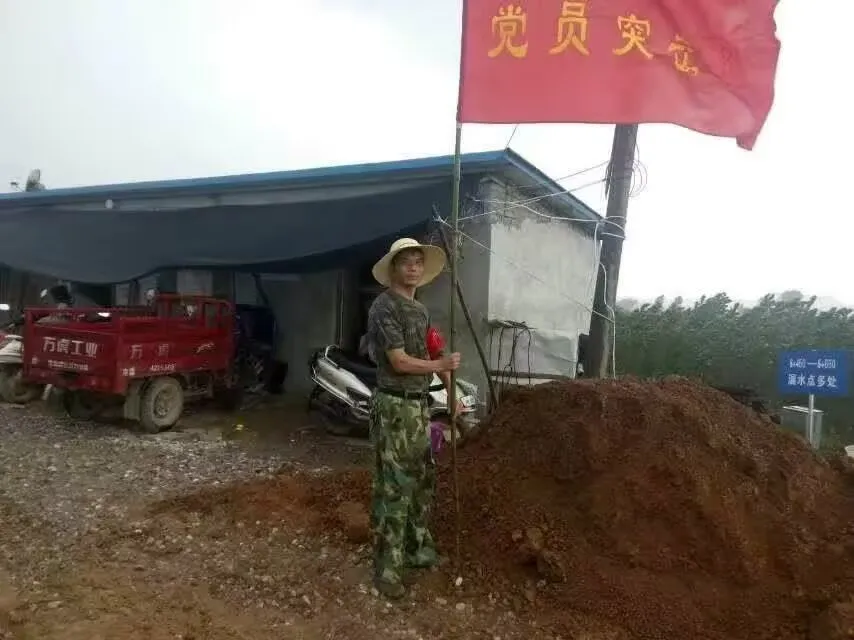 圖片